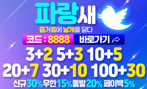 파랑새 토토사이트